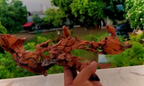 Sandalwood Root carving sparrow theme