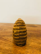 Sandalwood Shell